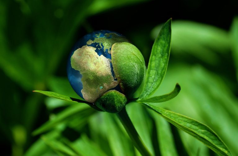 Sensibilisation au développement durable : comprendre les enjeux pour un avenir responsable