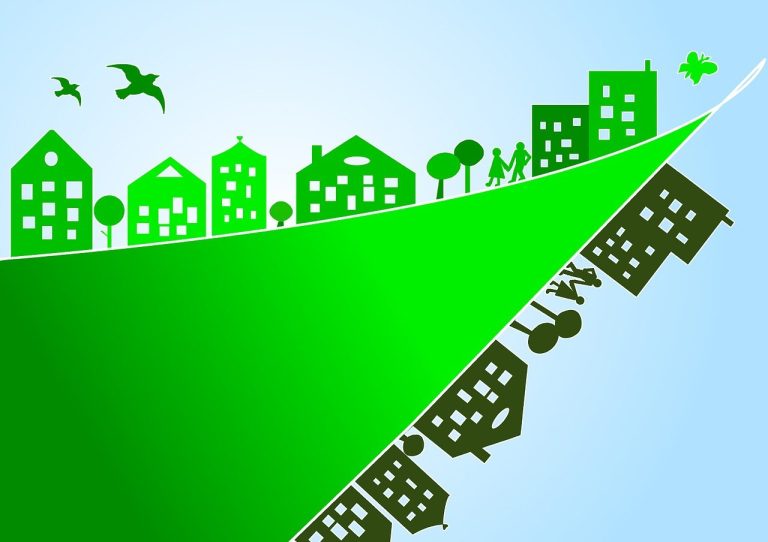 Les valeurs écologiques : un guide pour une consommation responsable